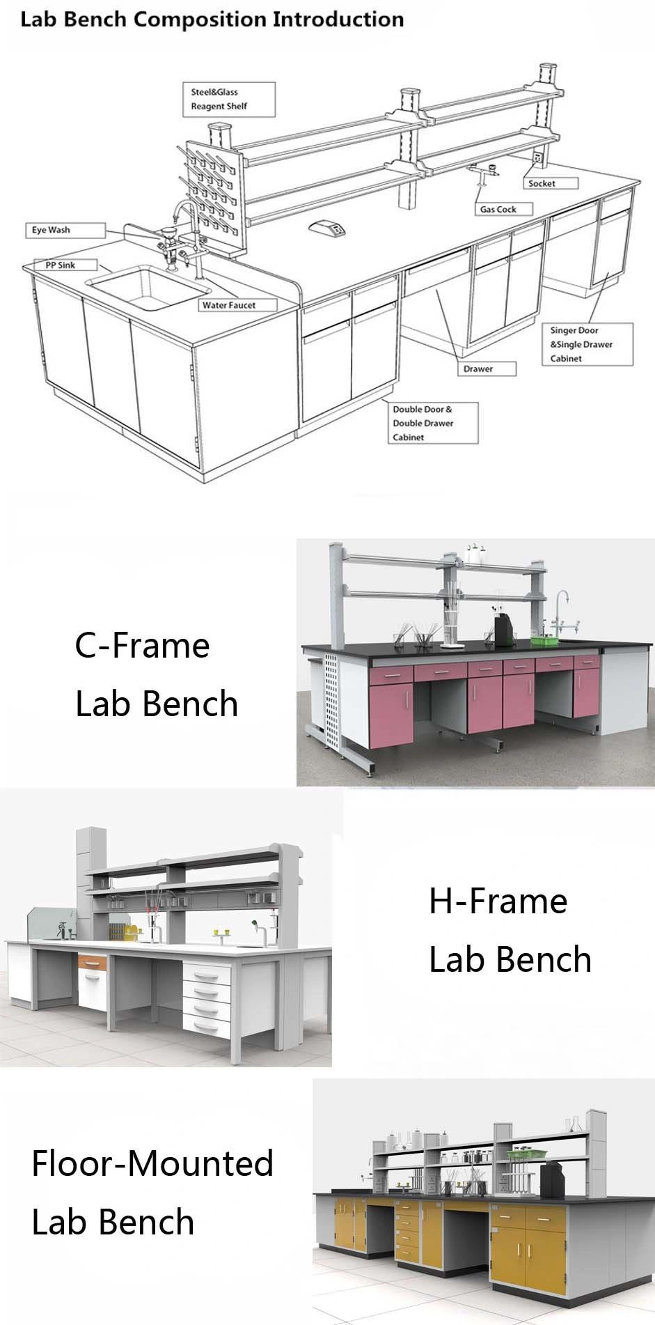 Bio Wood Modern College Commercial Laboratory H-Frame Full Steel Large Central Lab Work Furniture with Sink/