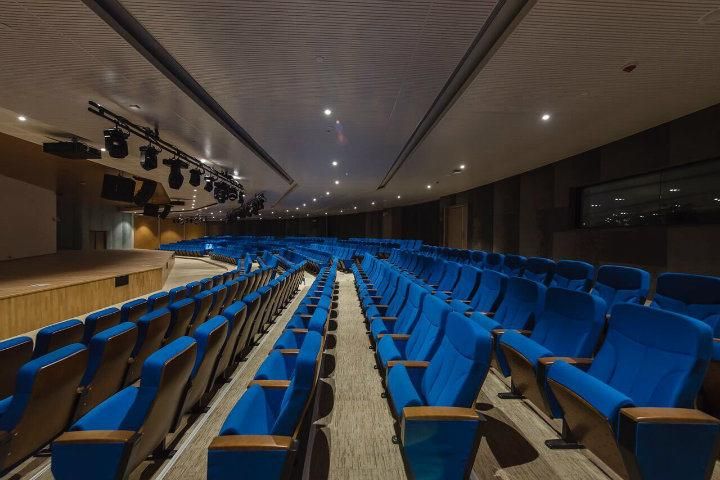 Lecture Theater School Public Conference Economic Auditorium Church Theater Furniture