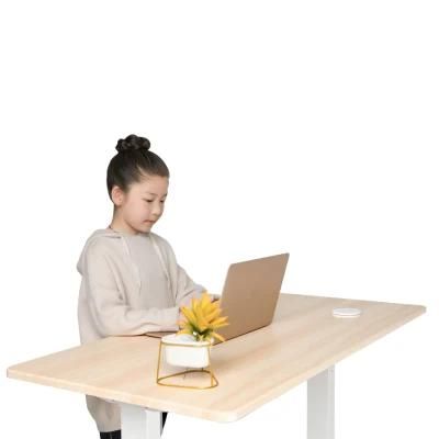Modern Home Office Lifting Computer Desk Electric Height Adjustable Standing Table