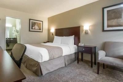 Luxury Bed Bench Nightstand Headboard Hotel Bedroom Furniture