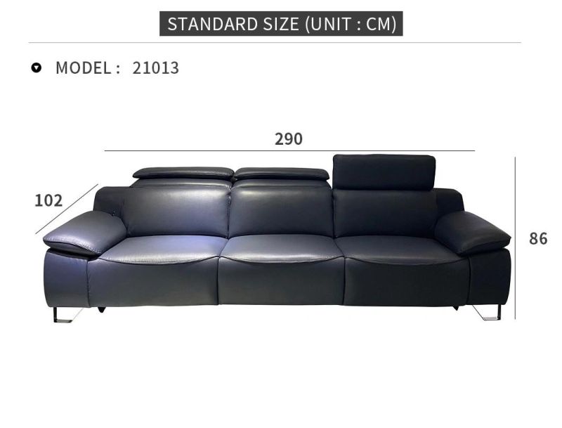 Popular Home Furniture Leather Sofa Art Sofa