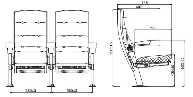 Home 3D Cinema Amphitheater Multiplex Auditorium Arm Theater Chair