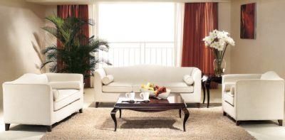 Hotel Furniture/Hotel Sofa/Hotel Living Room Sofa/Apartment Sofa/Hotel Lobby Sofa/Hospitality Sofa (GL-013)