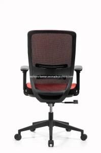 Zns Personal Customized Senior Portable Ergonomic Training Chair
