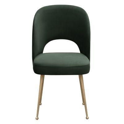 Luxury Modern Design Furniture Chairs for Dining Room Elegant Stainless Steel Metal Leg Lion Knocker Velvet Outdoor Dining Chair
