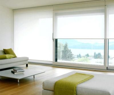 Transparent Horizontal Roller Blinds