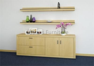 Modern Furniture Wooden Bookcase Popular Office Cabinet (CAS-FC5403)