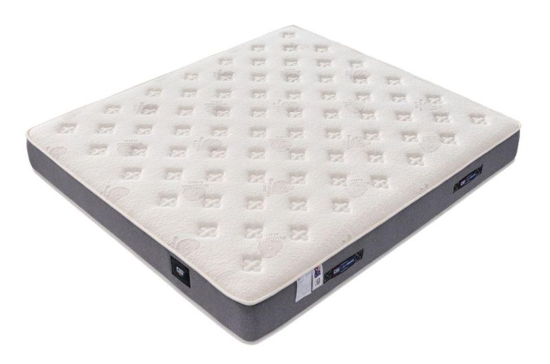 Wholesale Mattress Bed Mattress Natural Latex Mattresses with Pocket Spring Gsv961