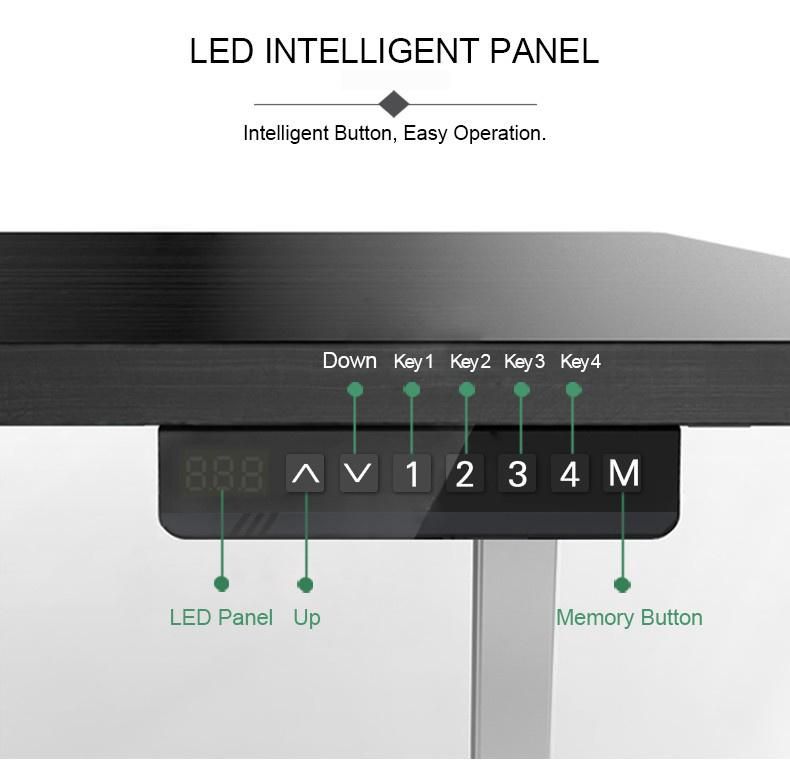 Dual Motor Electric Height Adjustable Standing Desk