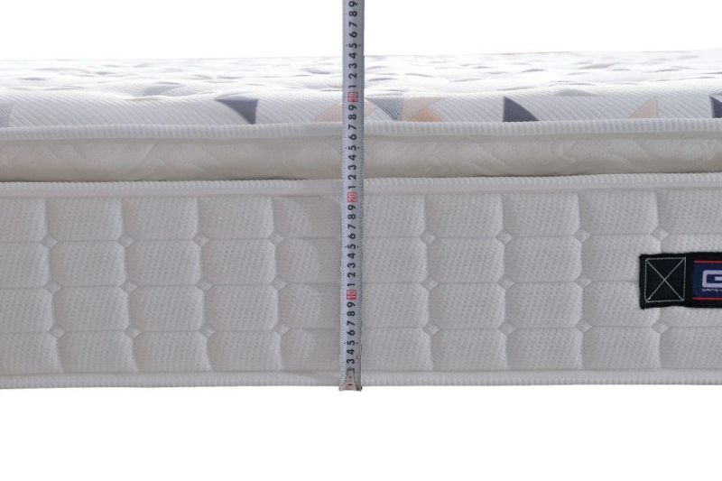 Customized Mattresses Bedding Mattress Mini Pocket Spring Latex Mattress Gsv962