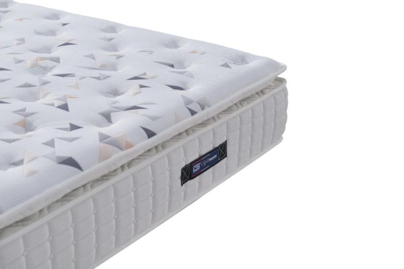 Modern Customized Mattress Bedding Mattress Mini Pocket Spring Latex Mattress for Bedroom Gsv962