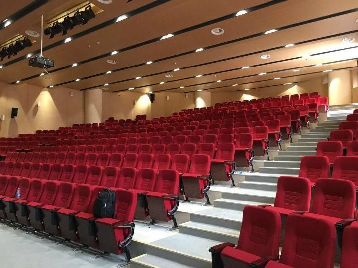 Audience Lecture Hall Lecture Theater Cinema Economic Theater Auditorium Church Furniture