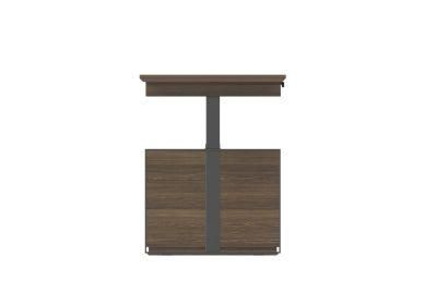 CE Certified Made in China Modern Furniture Gewu-Series Standing Table