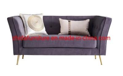 Modern Living Room Furniture Loveseat 2 Seat Sofa for Home Use
