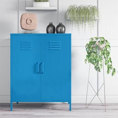 Amazon Hot Selling Industrial and Modern Design 2 Door Metal Locker Storage Cabinet for Home
