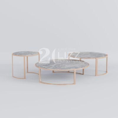 Contemporary European Style Home Dining Room Furniture Set Gold Stainless Steel Leg Coffee Table