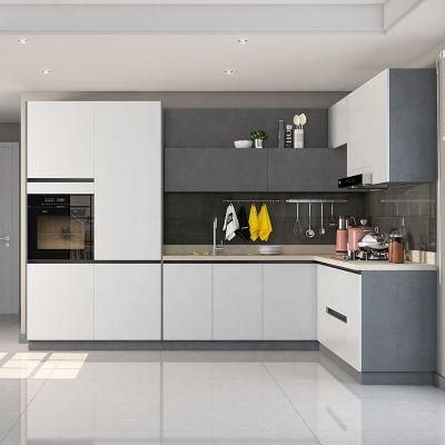 Contemporary Kitchen Cabinet