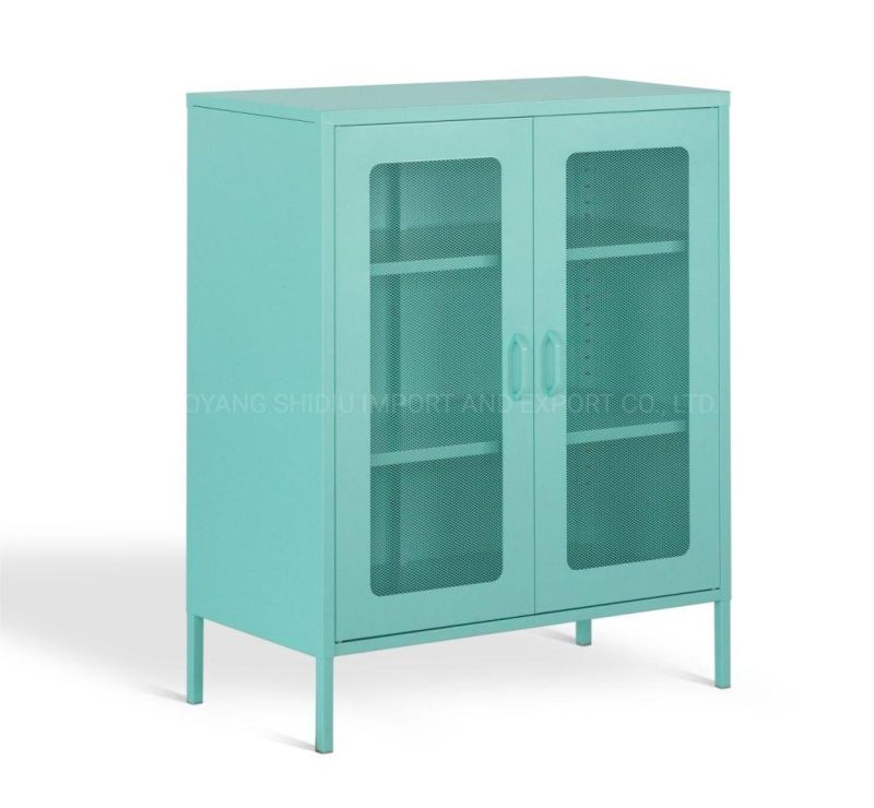 Wire Mesh Door 2 Doors Storage Cabinet with Adjustable Shelves for Living Room
