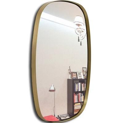 Elegant Brushed Gold Stainless Steel Bath Mirror Decor Wall