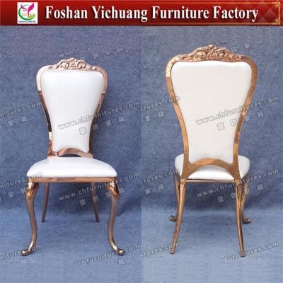 Modern New Design Gold Tube Stainless Steel Chair (YC-SS31)