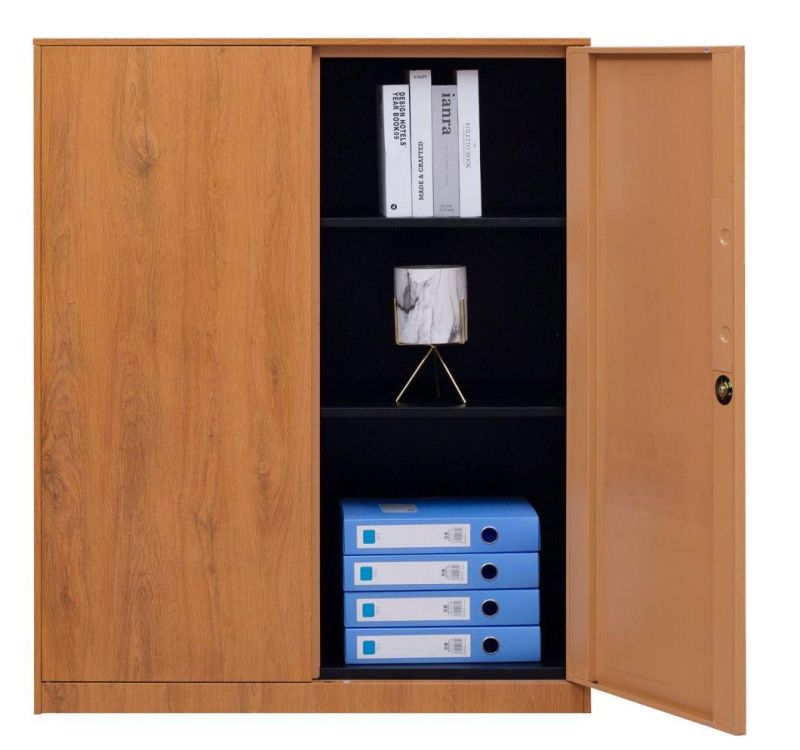 Modern Simple 2 Door Office Storage Furniture Steel Transfer Printing Metal File Cabinet with Lock