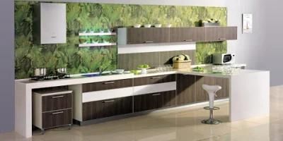 New Modern Style Acrylic High Glossy Kitchen Cabinet (FY8965)