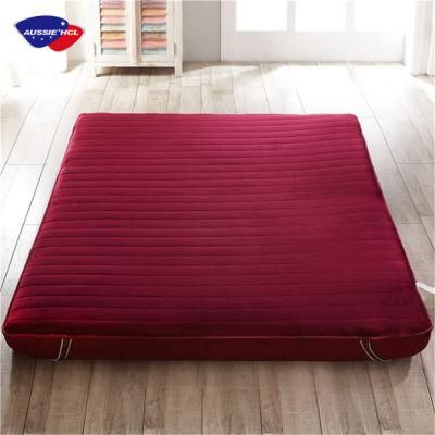 Factory Custom Thickened Flannel Mattresses Tatami Solid Student Dormitory Mattress Pad