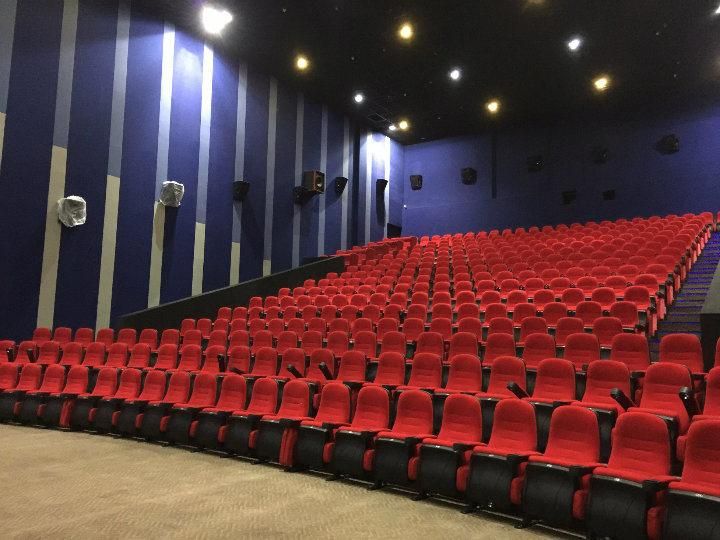 Economic Reclining Media Room VIP Theater Movie Auditorium Cinema Couch