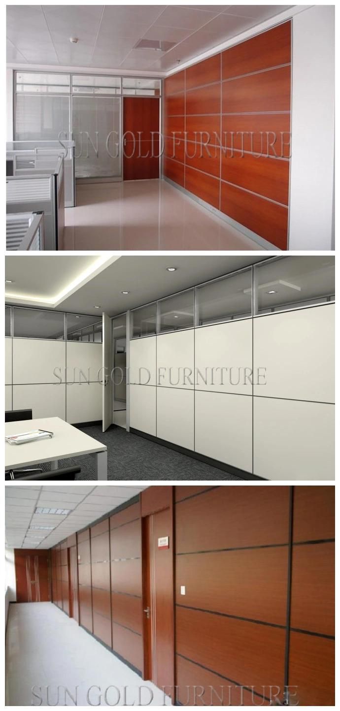2016 New Modern Glass and Aluminumd Office Screen Partition (SZ-WS571)