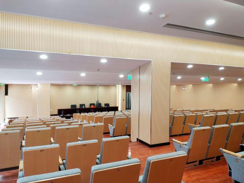 Office Lecture Hall Classroom Cinema Stadium School Conference Auditorium Theater Seating