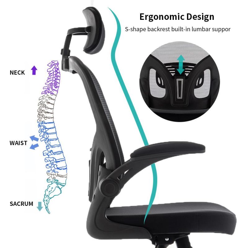 Modern Ergonomic Swivel Lumber Back Support Fabric Office Chair