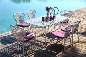 Aluminum Frame Rattan Outdoor Furniture (MYX-15014)