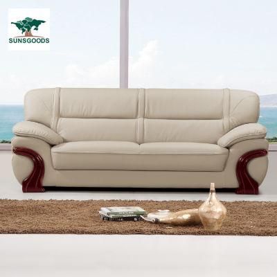 Modern Design Leisure Couch Living Room Home Wooden Frame Sofa Furniture