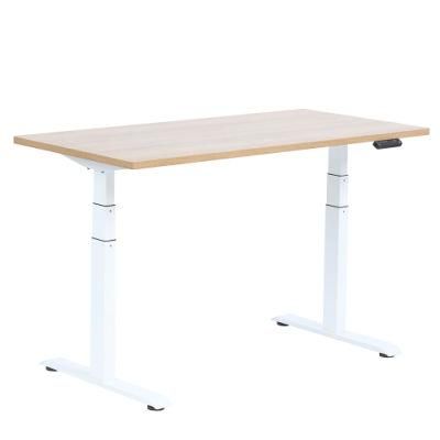 High-End Ergonomic Electric Sit Standing Height Adjustable Stand up Desk