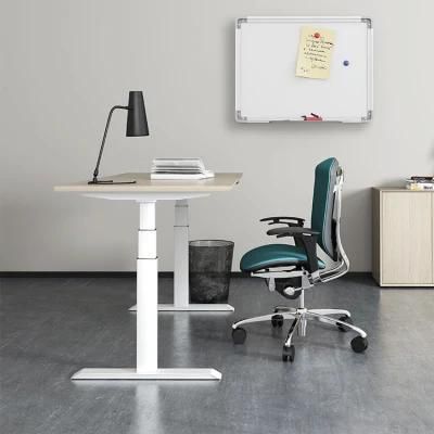 Modern Appearance Electric Lift Ergonomic Computer Sit Standing up Height Adjustable Office Desk with Remote Control