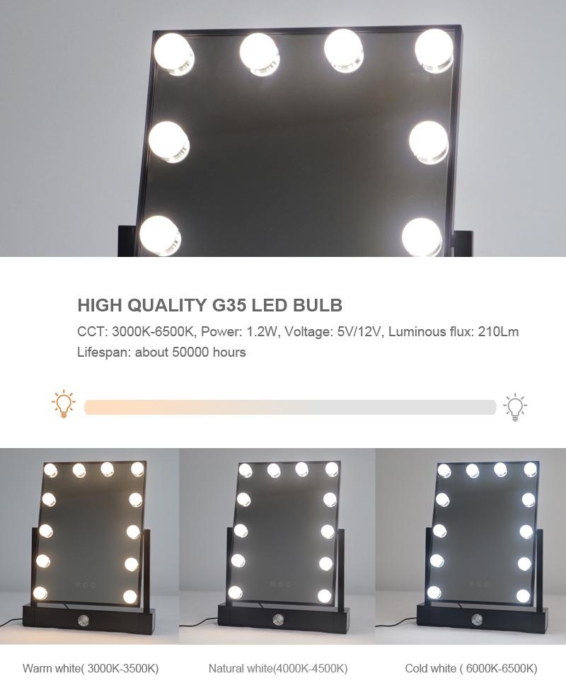 LED Makeup Mirror with Metal Frame and Storage Box