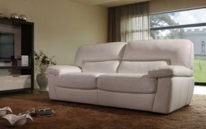 Home Furniture Modern Design Living Room Leather Sofa