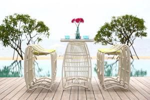 Modern Design Outdoor Garden Furniture Combination