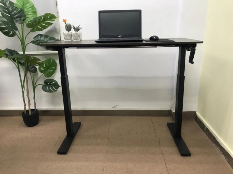 Lift Table Home Desk Standing Office Computer Desk Learning Writing Desk E-Competition Desk at Home Desk