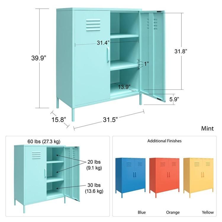 Amazon Hot Selling Industrial and Modern Design 2 Door Metal Locker Storage Cabinet for Home