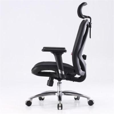 Popular Ergonomic Mesh Chair Adjustable Back Arm Office Chair