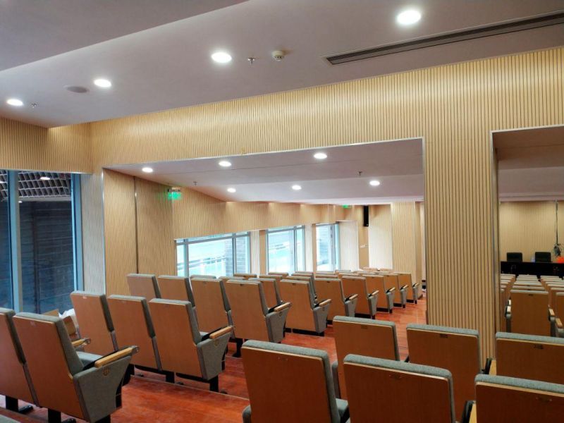 Office Lecture Hall Classroom Cinema Stadium School Conference Auditorium Theater Seating