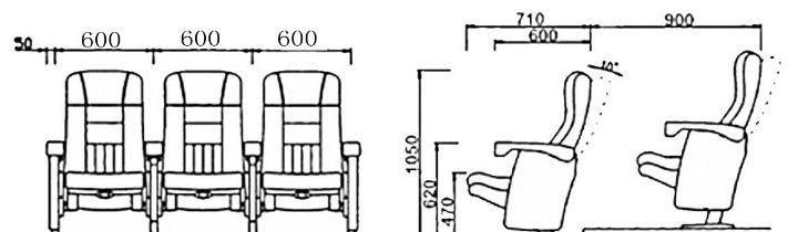 Economic Reclining Media Room VIP Theater Movie Auditorium Cinema Couch