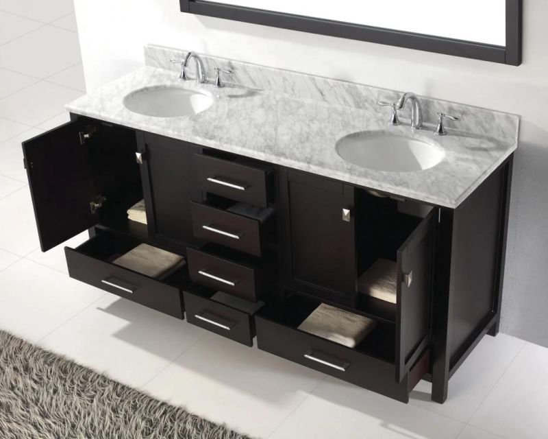 Caroline Avenue 72′ ′ Double Vanity