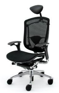 Modern High Back Office Chair with Locking Wheels