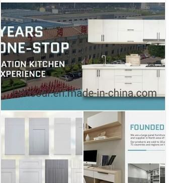 Panel Furniture, Display, Shelf, Wardrobe, Bookcase with Competitive Price