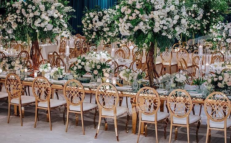 White and Gold Stainless Steel Dining Chair for Hotel Wedding