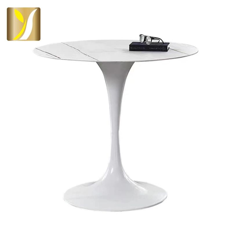 Modern Nordic Wrought Iron Marble Coffee Table Gloss White Coffee Table