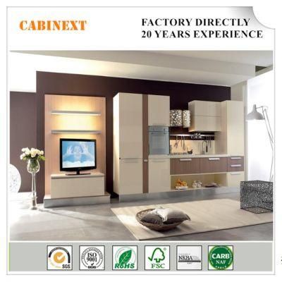 Cabinext Modern Kd (Flat-Packed) Customized Fuzhou China Kitchen Furniture Cabinets S10