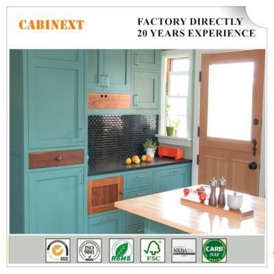 High Standard Custom Designed Colorful Kitchen Cabinet for Project